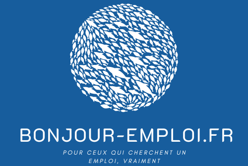 Logo bonjour emploi